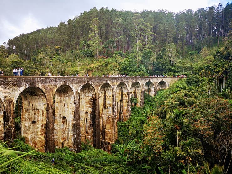 Nine Arches Bridge in Ella with lush tea fields.