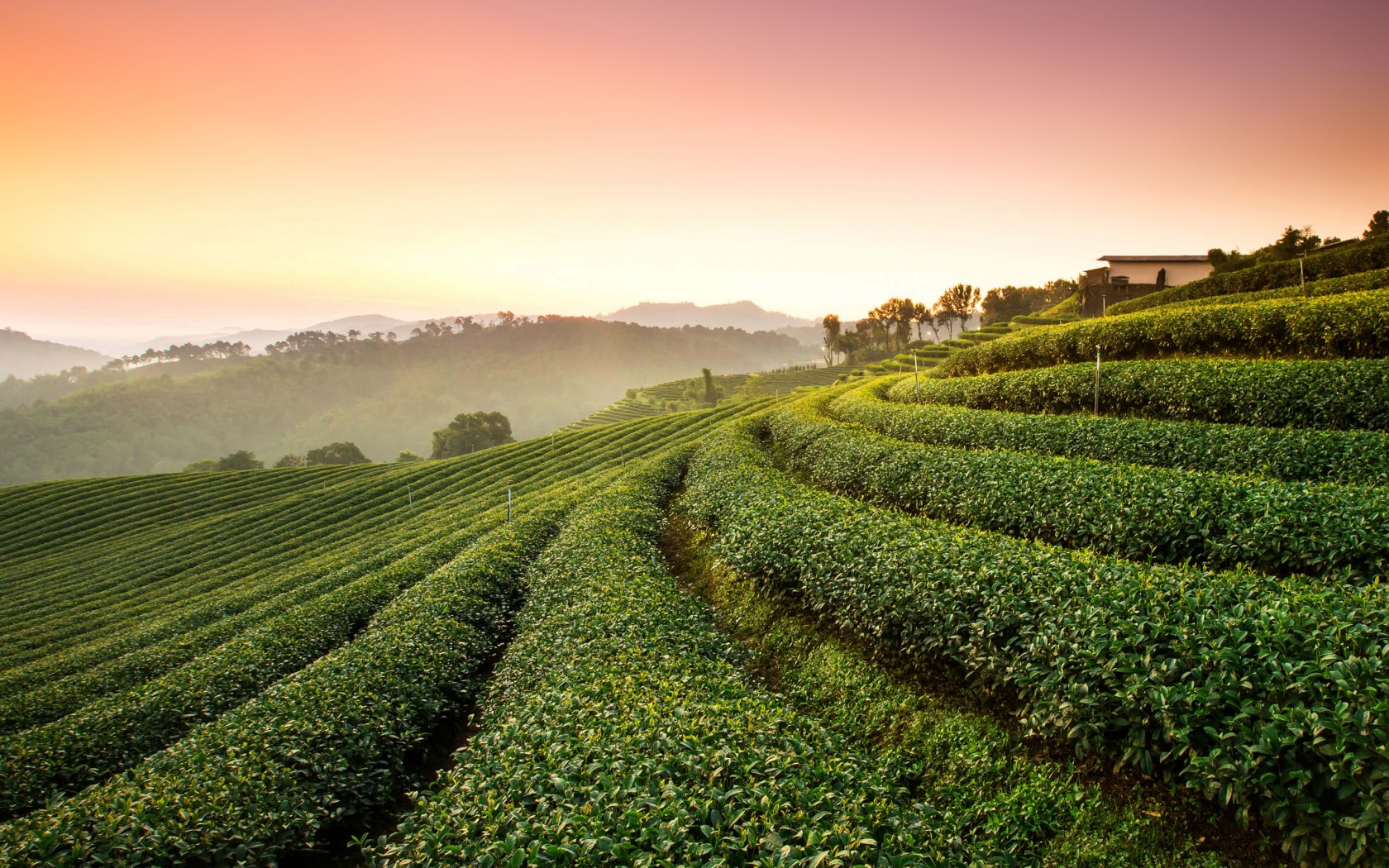 Nuwara Eliya, Sri Lanka